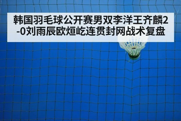 badminton net play
