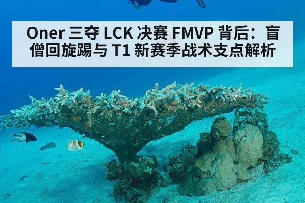 Oner 三夺 LCK 决赛 FMVP 背后:盲僧回旋踢与 T1 新赛季战术支点解析
